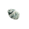 Agate Dendrite pierre roulée