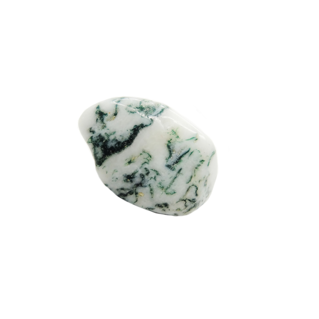 Agate Dendrite pierre roulée